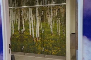 Loo doors. Highway 'Services' en route Ribeauville to Normandy