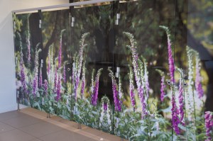 Loo doors. Highway 'Services' en route Ribeauville to Normandy