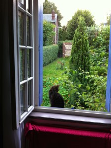 My host's cat always gave me a warm welcome.