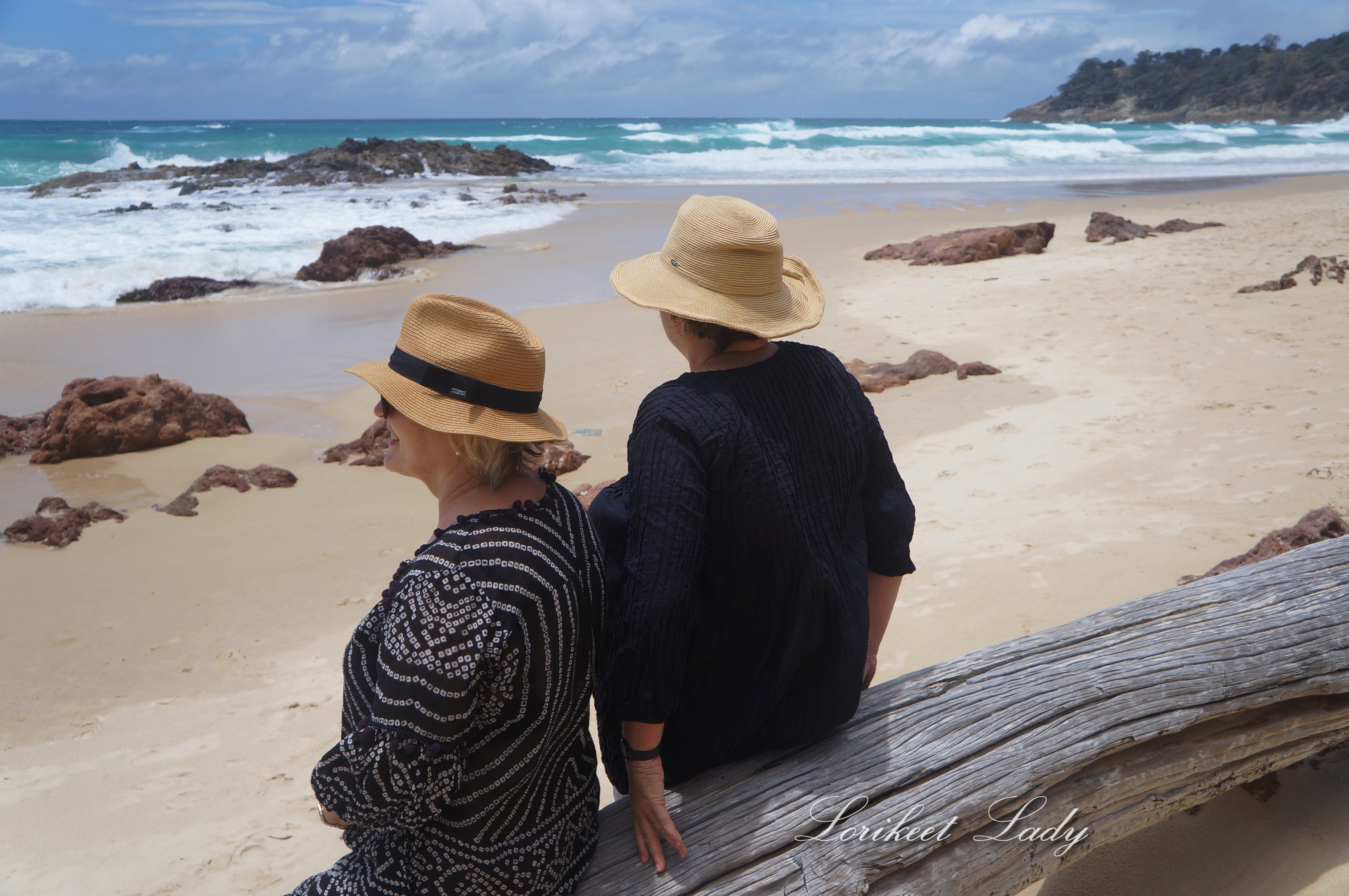 ww_the-girls-backs-on-log