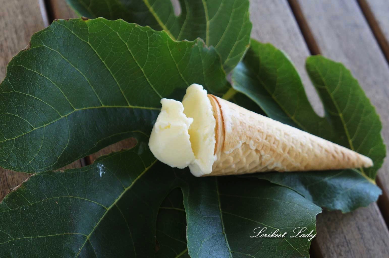 ww_fig-leaf-ice-cream1