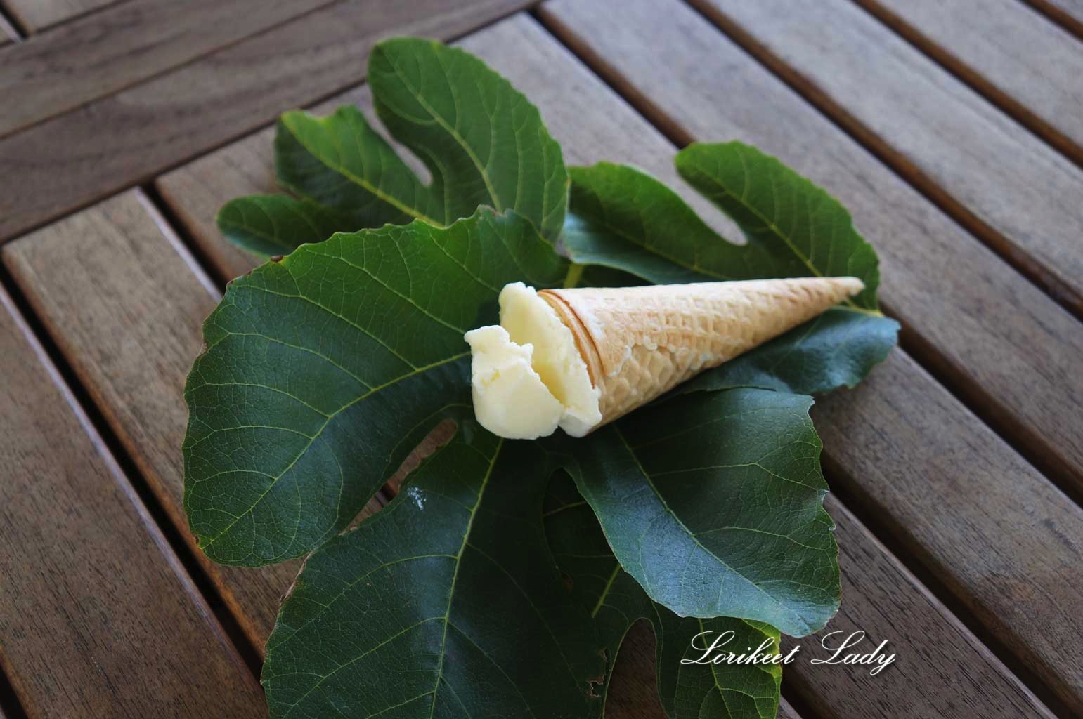 ww_fig-leaf-ice-cream2